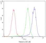 Flow cytometry testing of human U-2 OS cells with BMP5 antibody at 1ug/10^6 cells (blocked with goat sera); Red=cells alone, Green=isotype control, Blue=BMP5 antibody.
