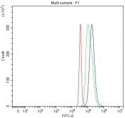 Flow cytometry testing of human SH-SY5Y cells with Aquaporin 1 antibody at 1ug/million cells (blocked with goat sera); Red=cells alone, Green=isotype control, Blue= Aquaporin 1 antibody.