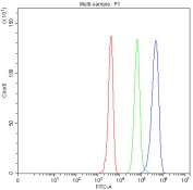 Flow cytometry testing of fixed and permeabilized human 293T cells with SDHA antibody at 1ug/million cells (blocked with goat sera); Red=cells alone, Green=isotype control, Blue= SDHA antibody.
