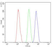 Flow cytometry testing of human A431 cells with GNAQ antibody at 1ug/million cells (blocked with goat sera); Red=cells alone, Green=isotype control, Blue= GNAQ antibody.