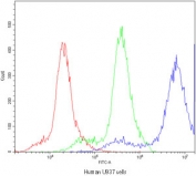Flow cytometry testing of human U937 cells with PPT1 antibody at 1ug/10^6 cells (blocked with goat sera); Red=cells alone, Green=isotype control, Blue=PPT1 antibody.