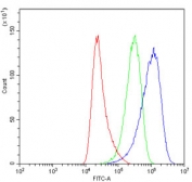 Flow cytometry testing of human HeLa cells with ASPH antibody at 1ug/million cells (blocked with goat sera); Red=cells alone, Green=isotype control, Blue= ASPH antibody.