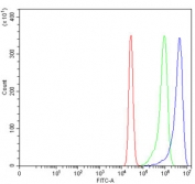 Flow cytometry testing of human K562 cells with SSH3BP1 antibody at 1ug/10^6 cells (blocked with goat sera); Red=cells alone, Green=isotype control, Blue= SSH3BP1 antibody.