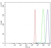 Flow cytometry testing of fixed and permeabilized human SiHa cells with ITCH antibody at 1ug/million cells (blocked with goat sera); Red=cells alone, Green=isotype control, Blue= ITCH antibody.