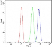 Flow cytometry testing of human 293T cells with Daxx antibody at 1ug/million cells (blocked with goat sera); Red=cells alone, Green=isotype control, Blue= Daxx antibody.