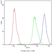 Flow cytometry testing of human Caco-2 cells with APOA1 antibody at 1ug/10^6 cells (blocked with goat sera); Red=cells alone, Green=isotype control, Blue=APOA1 antibody.