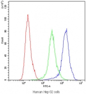 Flow cytometry testing of human HepG2 cells with APOA1 antibody at 1ug/10^6 cells (blocked with goat sera); Red=cells alone, Green=isotype control, Blue=APOA1 antibody.