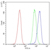 Flow cytometry testing of human HepG2 cells with Alpha A Crystallin antibody at 1ug/10^6 cells (blocked with goat sera); Red=cells alone, Green=isotype control, Blue= Alpha A Crystallin antibody.