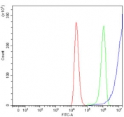 Flow cytometry testing of human 293T cells with ALDH1A2 antibody at 1ug/million cells (blocked with goat sera); Red=cells alone, Green=isotype control, Blue= ALDH1A2 antibody.