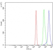 Flow cytometry testing of human K562 cells with AMHR2 antibody at 1ug/million cells (blocked with goat sera); Red=cells alone, Green=isotype control, Blue= AMHR2 antibody.