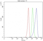 Flow cytometry testing of fixed and permeabilized human U-251 cells with ACADVL antibody at 1ug/million cells (blocked with goat sera); Red=cells alone, Green=isotype control, Blue= ACADVL antibody.