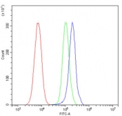 Flow cytometry testing of mouse HEPA1-6 cells with ACVR2A antibody at 1ug/million cells (blocked with goat sera); Red=cells alone, Green=isotype control, Blue= ACVR2A antibody.