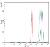 Flow cytometry testing of human U-2 OS cells with Alcohol dehydrogenase antibody at 1ug/million cells (blocked with goat sera); Red=cells alone, Green=isotype control, Blue= Alcohol dehydrogenase antibody.