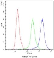 Flow cytometry testing of human PC-3 cells with ADO antibody at 1ug/10^6 cells (blocked with goat sera); Red=cells alone, Green=isotype control, Blue=ADO antibody.