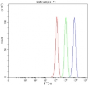 Flow cytometry testing of human PC-3 cells with AK1 antibody at 1ug/million cells (blocked with goat sera); Red=cells alone, Green=isotype control, Blue= AK1 antibody.