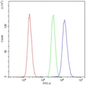 Flow cytometry testing of human U-2 OS cells with AKR1B1 antibody at 1ug/10^6 cells (blocked with goat sera); Red=cells alone, Green=isotype control, Blue= AKR1B1 antibody.