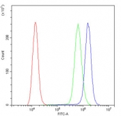 Flow cytometry testing of permeabilized human A431 cells with ALDH7A1 antibody at 1ug/10^6 cells (blocked with goat sera); Red=cells alone, Green=isotype control, Blue= ALDH7A1 antibody.