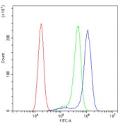 Flow cytometry testing of human A431 cells with RPSA antibody at 1ug/million cells (blocked with goat sera); Red=cells alone, Green=isotype control, Blue= RPSA antibody.