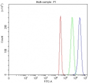 Flow cytometry testing of fixed and permeabilized human HepG2 cells with Angiogenin antibody at 1ug/million cells (blocked with goat sera); Red=cells alone, Green=isotype control, Blue= Angiogenin antibody.