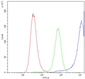 Flow cytometry testing of human A549 cells with Calpastatin antibody at 1ug/10^6 cells (blocked with goat sera); Red=cells alone, Green=isotype control, Blue=Calpastatin antibody.