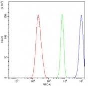 Flow cytometry testing of human U-2 OS cells with Emerin antibody at 1ug/10^6 cells (blocked with goat sera); Red=cells alone, Green=isotype control, Blue= Emerin antibody.
