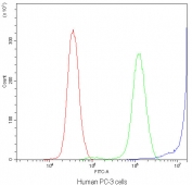 Flow cytometry testing of human PC-3 cells with DBI antibody at 1ug/10^6 cells (blocked with goat sera); Red=cells alone, Green=isotype control, Blue=DBI antibody.
