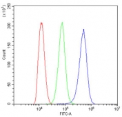 Flow cytometry testing of human ThP-1 cells with DBI antibody at 1ug/10^6 cells (blocked with goat sera); Red=cells alone, Green=isotype control, Blue=DBI antibody.