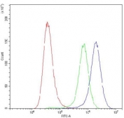 Flow cytometry testing of human A549 cells with APRT antibody at 1ug/10^6 cells (blocked with goat sera); Red=cells alone, Green=isotype control, Blue=APRT antibody.