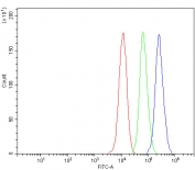 Flow cytometry testing of fixed and permeabilized human MCF7 cells with BMAL1 antibody at 1ug/million cells (blocked with goat sera); Red=cells alone, Green=isotype control, Blue= BMAL1 antibody.