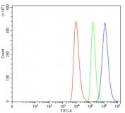 Flow cytometry testing of human HEL cells with Annexin IV antibody at 1ug/million cells (blocked with goat sera); Red=cells alone, Green=isotype control, Blue= Annexin IV antibody.