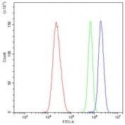 Flow cytometry testing of human U-2 OS cells with Annexin VIII antibody at 1ug/10^6 cells (blocked with goat sera); Red=cells alone, Green=isotype control, Blue= Annexin VIII antibody.