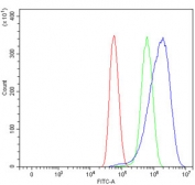 Flow cytometry testing of human U-87 MG cells with Endoglin antibody at 1ug/million cells (blocked with goat sera); Red=cells alone, Green=isotype control, Blue= Endoglin antibody.