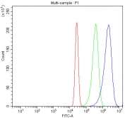 Flow cytometry testing of fixed and permeabilized human K562 cells with Hemoglobin antibody at 1ug/million cells (blocked with goat sera); Red=cells alone, Green=isotype control, Blue= Hemoglobin antibody.