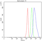 Flow cytometry testing of fixed human U-251 cells with MC2R antibody at 1ug/million cells (blocked with goat sera); Red=cells alone, Green=isotype control, Blue= MC2R antibody.