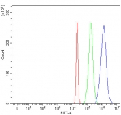 Flow cytometry testing of fixed and permeabilized mouse EL-4 cells with CD59 antibody at 1ug/million cells (blocked with goat sera); Red=cells alone, Green=isotype control, Blue= CD59 antibody.
