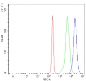 Flow cytometry testing of fixed and permeabilized human HL60 cells with ACSL5 antibody at 1ug/million cells (blocked with goat sera); Red=cells alone, Green=isotype control, Blue= ACSL5 antibody.