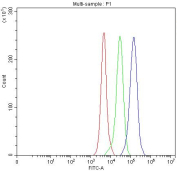 Flow cytometry testing of fixed mouse RAW264.7 cells with Flt3 antibody at 1ug/million cells (blocked with goat sera); Red=cells alone, Green=isotype control, Blue= Flt3 antibody.