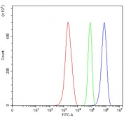 Flow cytometry testing of mouse ANA-1 cells with DDX3 antibody at 1ug/million cells (blocked with goat sera); Red=cells alone, Green=isotype control, Blue= DDX3 antibody.