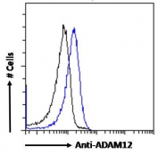 FACS testing of fixed and permeabilized human HeLa cells with ADAM12 antibody (blue) at 10ug/10^6 cells in 0.2ml and naive goat Ig (black).