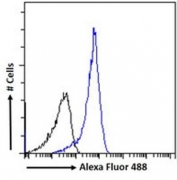FACS testing of fixed and permeabilized human HepG2 cells with ZBP-1 antibody (blue) at 10ug/ml and naive goat Ig (black).