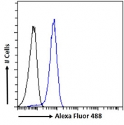 FACS testing of fixed and permeabilized human MCF7 cells with PHLDA2 antibody (blue) at 10ug/ml and naive goat Ig (black).