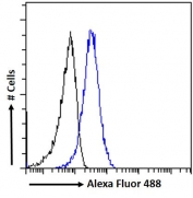 FACS testing of fixed and permeabilized human MCF7 cells with AMHR2 antibody (blue) at 10ug/ml and naive goat Ig (black).