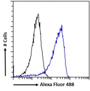 FACS testing of fixed and permeabilized human A431 cells with RCAN1 antibody (blue) at 10ug/ml and naive goat Ig (black).