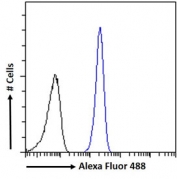 FACS testing of fixed and permeabilized human A431 cells with Proteinase 3 antibody (blue) at 10ug/ml and naive goat Ig (black).