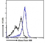 FACS testing of fixed and permeabilized human ThP1 cells with IFT88 antibody (blue) at 1ug/million cells/0.1ml and naive goat Ig (black).