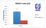 ChIP of 2ug of HDAC1 antibody with 1ug MCF7 chromatin using the Chromatrap spin column sonication kit (Protein G) measuring H3 enrichment onto the p21 locus.