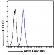 FACS testing of fixed and permeabilized human ThP-1 cells with DC-SIGN antibody (blue) at 10ug/ml and naive goat Ig (black).