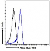 FACS testing of fixed and permeabilized human HEK293 cells with Adipose triglyceride lipase antibody (blue) at 1ug/million cells/0.1ml and naive goat Ig (black).