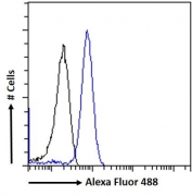 FACS testing of fixed and permeabilized human U937 cells with CD68 antibody (blue) at 10ug/ml and naive goat Ig (black).