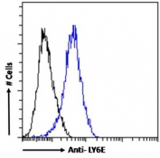 FACS testing of fixed and permeabilized mouse NIH 3T3 cells with LY6E antibody (blue) at 1ug/million cells/0.1ml and naive goat Ig (black).